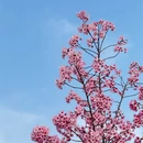 上海旅游 缩略图 9