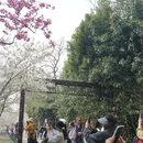 北京旅游 缩略图 1