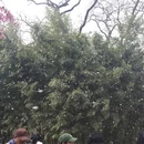 北京旅游 缩略图 4