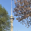 北京旅游 缩略图 7