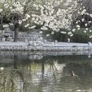 北京旅游 缩略图 8