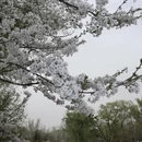 北京旅游 缩略图 7