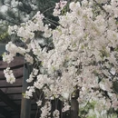 北京旅游 缩略图 10
