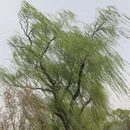北京旅游 缩略图 14