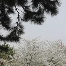 北京旅游 缩略图 16