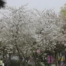 北京旅游 缩略图 11