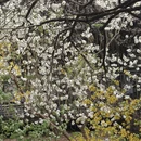 北京旅游 缩略图 13