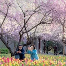 北京旅游 缩略图 1