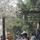 北京旅游 缩略图 3