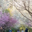 北京旅游 缩略图 2