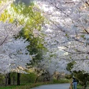 北京旅游 缩略图 6