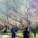 北京旅游 缩略图 9