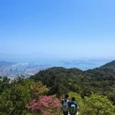 深圳旅游 缩略图 2