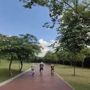 深圳旅游 缩略图 4