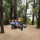 深圳旅游 缩略图 5