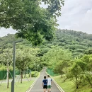深圳旅游 缩略图 7