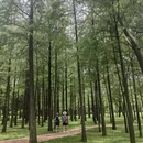 深圳旅游 缩略图 9