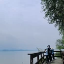 深圳旅游 缩略图 13
