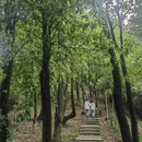 深圳旅游 缩略图 12