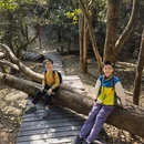 深圳旅游 缩略图 16