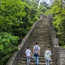 深圳旅游 缩略图 14