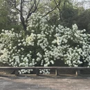 杭州旅游 缩略图 12