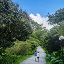 深圳旅游 缩略图 17