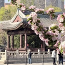 北京旅游 缩略图 10
