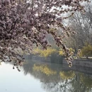 北京旅游 缩略图 4