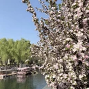 北京旅游 缩略图 7