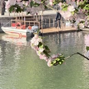 北京旅游 缩略图 11