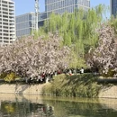 北京旅游 缩略图 6