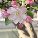 北京旅游 缩略图 12