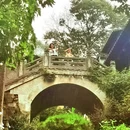 黄山旅游 缩略图 7