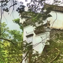 黄山旅游 缩略图 5
