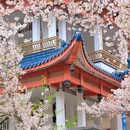 无锡旅游 缩略图 9