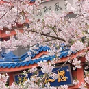 无锡旅游 缩略图 12