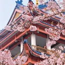 无锡旅游 缩略图 11