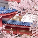 无锡旅游 缩略图 4