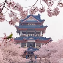 无锡旅游 缩略图 14