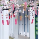 无锡旅游 缩略图 16