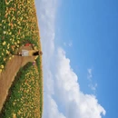 镇江旅游 缩略图 12