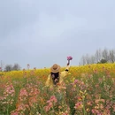 镇江旅游 缩略图 6
