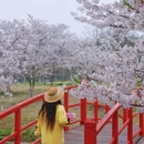 镇江旅游 缩略图 14