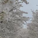 宁波旅游 缩略图 1