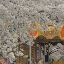 宁波旅游 缩略图 4