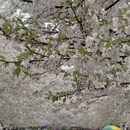 宁波旅游 缩略图 3
