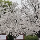 宁波旅游 缩略图 9