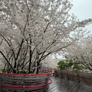 宁波旅游 缩略图 1