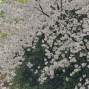 宁波旅游 缩略图 13